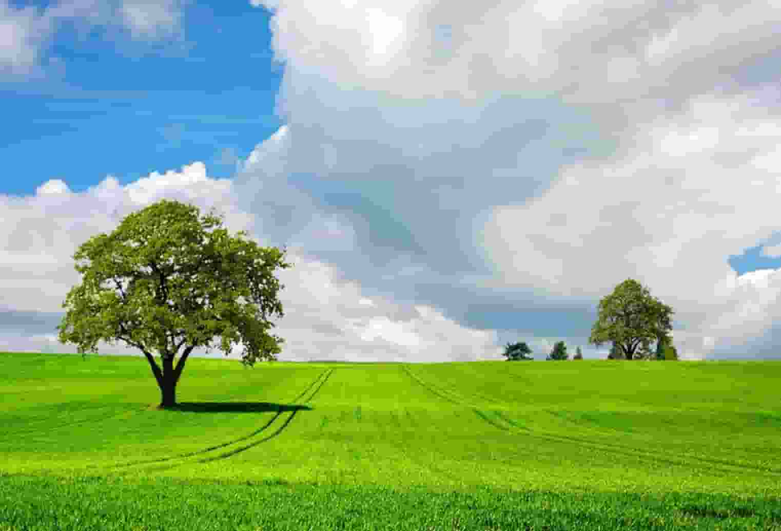 李商隐的诗词全部