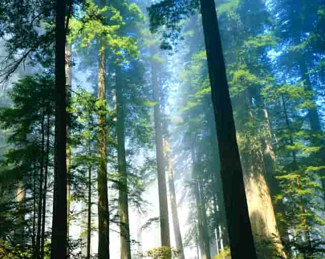 合同编合同效力